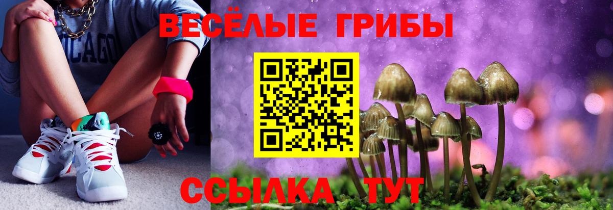 Галлюциногенные грибы Psilocybe Кудымкар