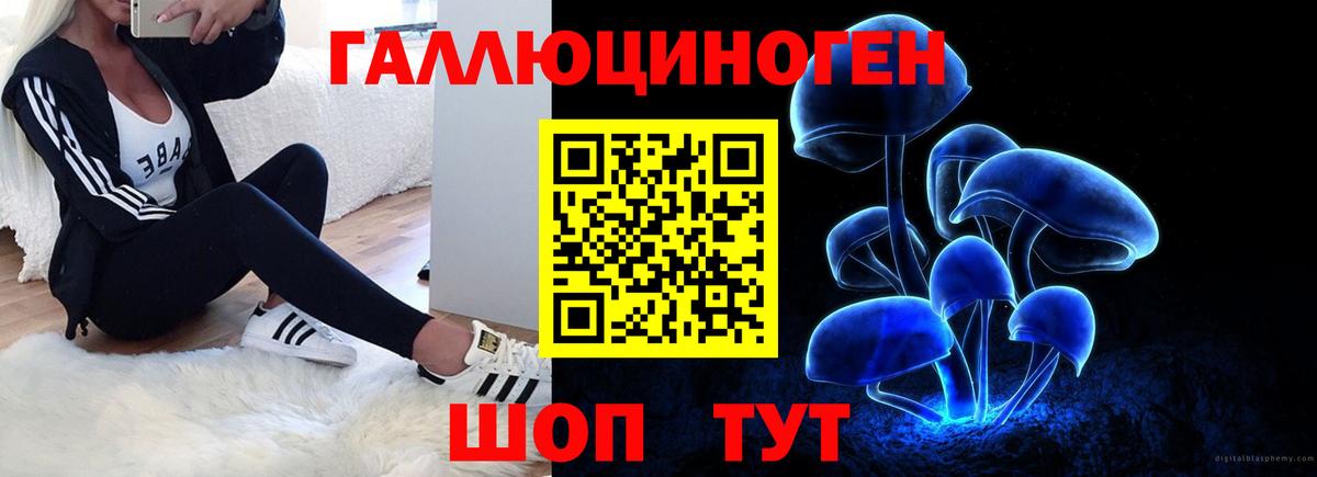 где купить наркоту  Вход с VPN  Кудымкар  Галлюциногенные грибы мицелий 