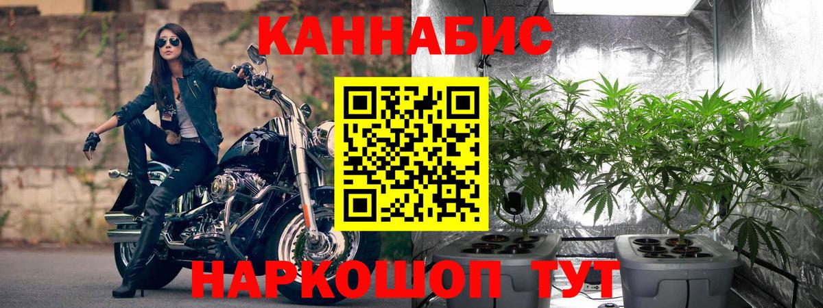 Бошки марихуана планчик Кудымкар
